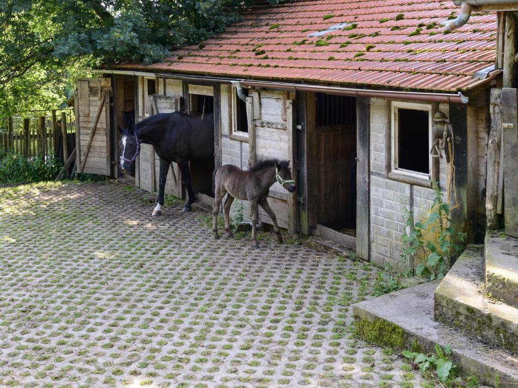 Forsthaus Halbemark room 6